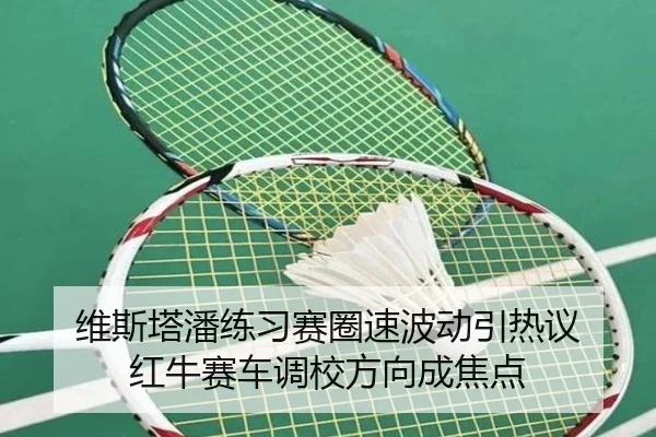 维斯塔潘练习赛圈速波动引热议 红牛赛车调校方向成焦点